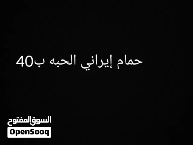 حمام إيراني و حمام لاحم لاحم ب 30 وايراني ب40