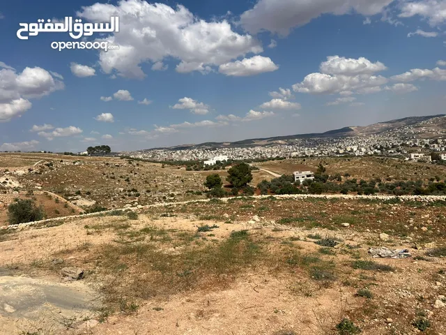 Farm Land for Sale in Jerash Other