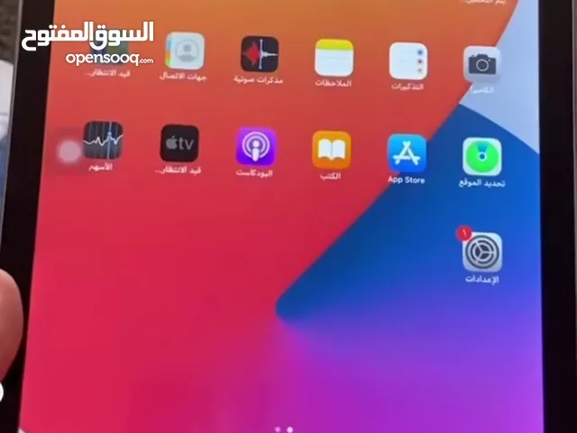 Apple iPad Air 2 Other in Basra