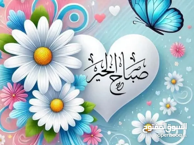 باحث عن مدرسة انجليزي