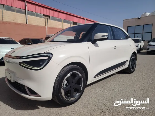 Dongfeng Nammi Box 2023