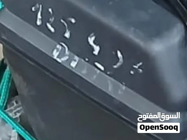 2005, رينو, اخرى