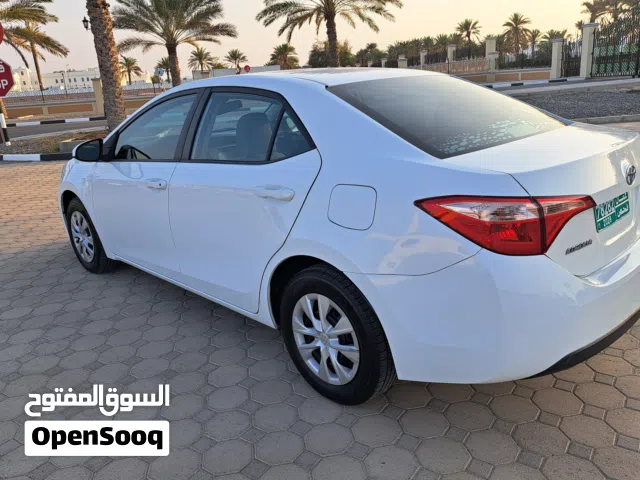 2019 Toyota Corolla LE
