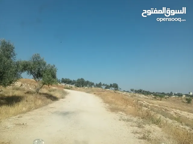 ارض سكنيه ع شارعين اربد شارع فوعرا قرب مستودعات الغاز للبيع بسعر مغري