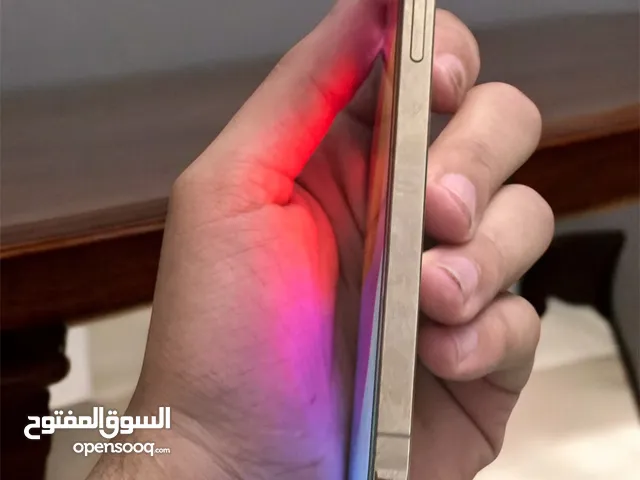 iPhone 12pro max 256g