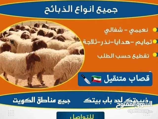 قصاب الكويت  جميع انواع الاغنام  جهزين لجميع المناسبات  هديه  تمايم  توزيع  ثلاجه  انعيمي. اشفالي صو