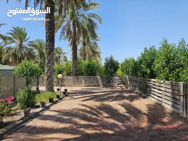 للبيع أراضي زراعية متنوعة ومزرعة مساحة 32 ألف مترمربع في بركاء الرميس والشخاخيط