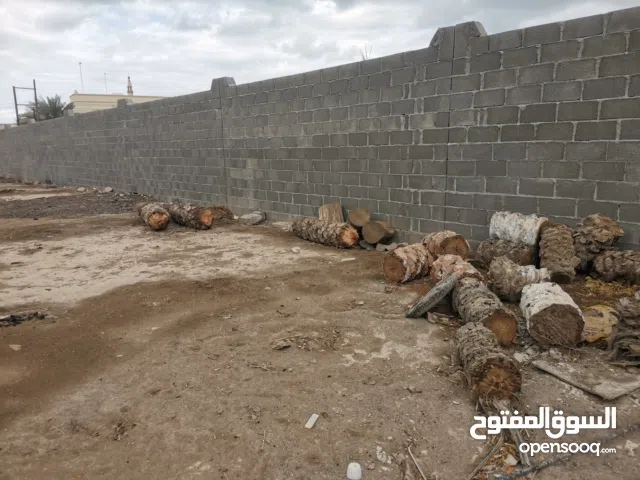 جذع نخيل استخدام صاروج العماني بلاش