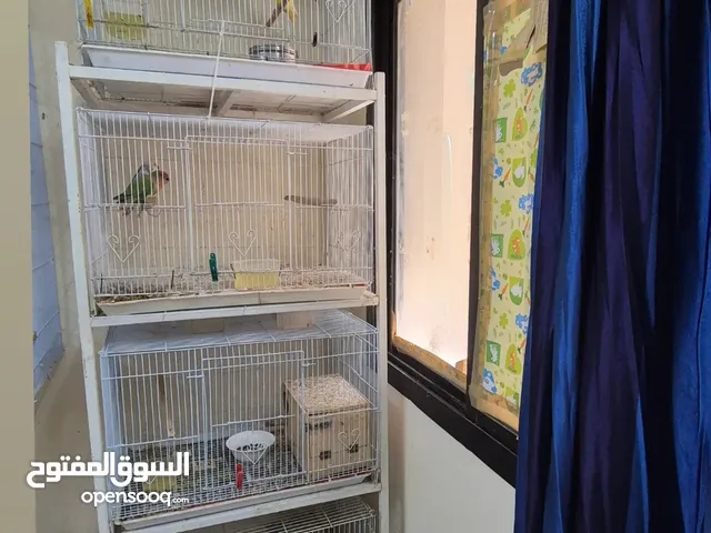 birds cage with stand