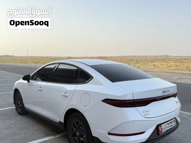 شين بلاس 2025