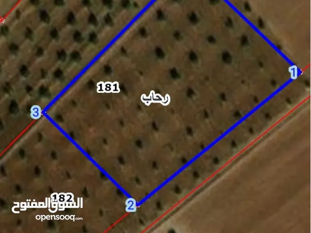 Farm Land for Sale in Mafraq Rhab