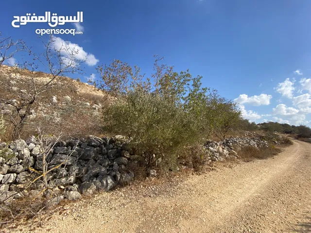 قطعة ارض للبيع كوشان نظيف تنازل مباشر تصنيف A منطقة جبل الشيخ عيسى اطلاله غربيه