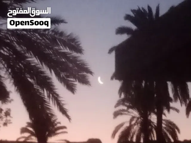 قطعة ارض للبيع في منطقة عرادة في سوق الجمعة على الرئيسي