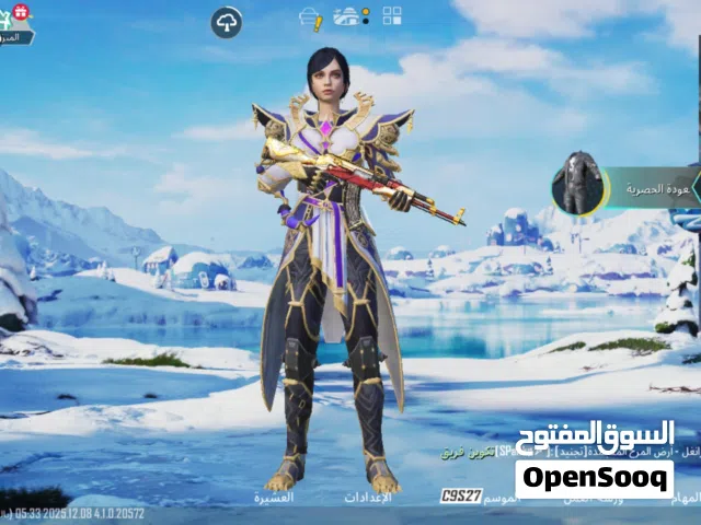 Pubg Accounts and Characters for Sale in Jerash