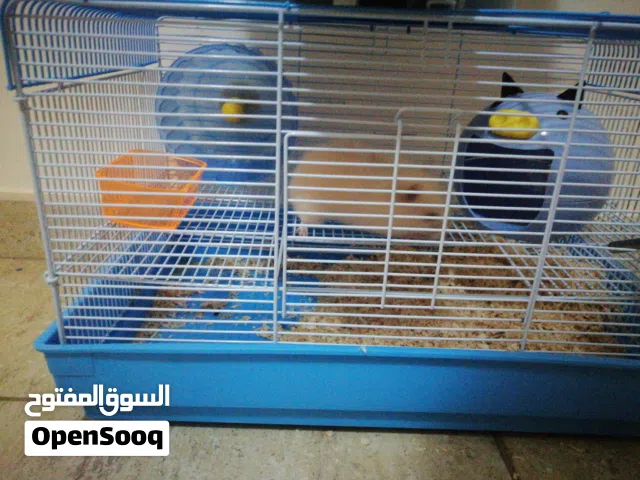 البيع مع القفص