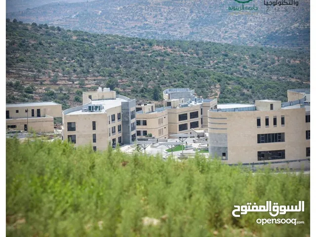 أرض استثمارية بجانب جامعة الزيتونة في سلفيت ، سعر مغري جداً *الأرض تنصيف B وصالحة للبناء