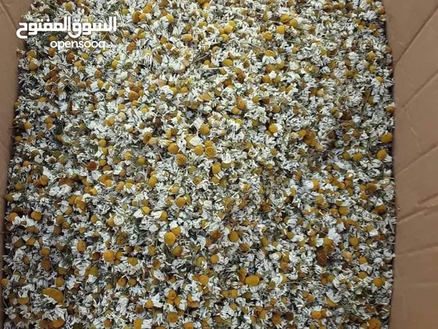 للبيع شركة مواد غذائية وخضار وفاكهة و مشروبات
