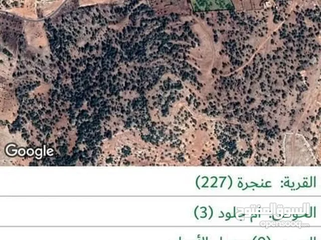 Mixed Use Land for Sale in Ajloun A'anjara