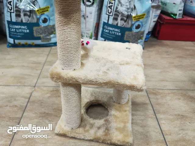 خداشة قطط فاخرة: احمِ أثاثك بأناقة! مصنوعة من أجود أنواع الخشب والتاتان، توفر لقطتك متعة اللعب