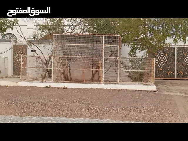 للبيع شبك مال أشجار مع اقفاص