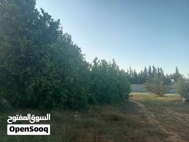 More than 6 bedrooms Farms for Sale in Tripoli Sidi Al-Sae'a