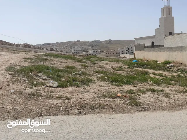 ارض للبيع الزرقاء الجديدة سكن ب بالقرب من بولوود كافيه مساحه 566. على شارعين امامي وخلفي