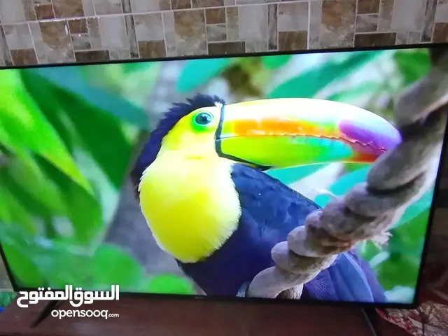 Hisense Smart 65 inch TV in Zarqa