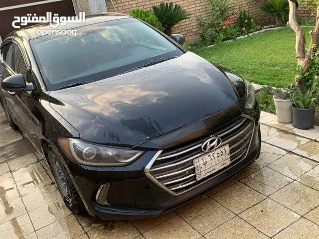 New Hyundai Elantra in Baghdad