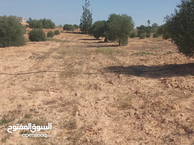 Farm Land for Sale in Al Khums Other