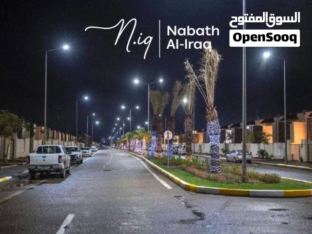 اسد بابل 1