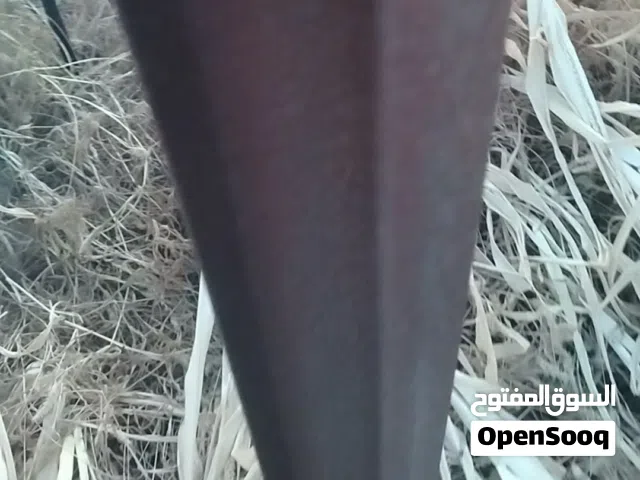 موجود حديد للبيع سعر مناسب