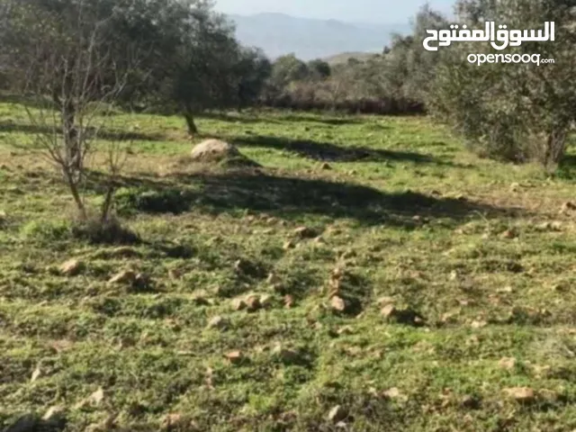 Mixed Use Land for Sale in Amman Other