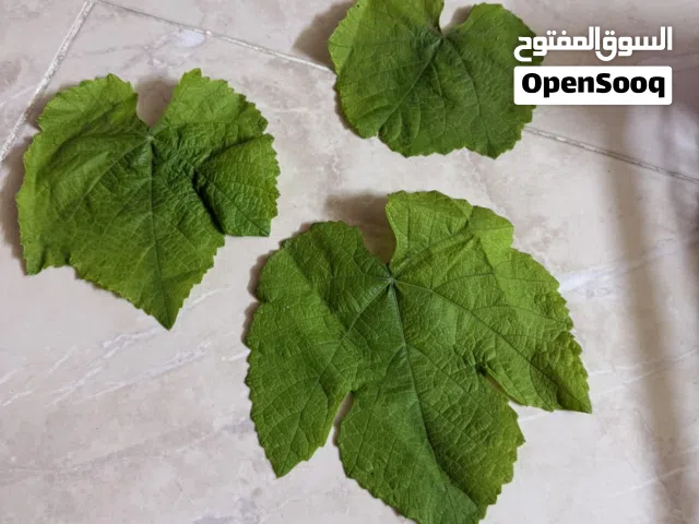 ورق دوالي مميز وبطعم لا يقاوم