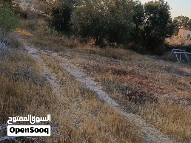 مزرعة 20 هكتار بشهادة عقاريه للبيع في ضواحي الخمس