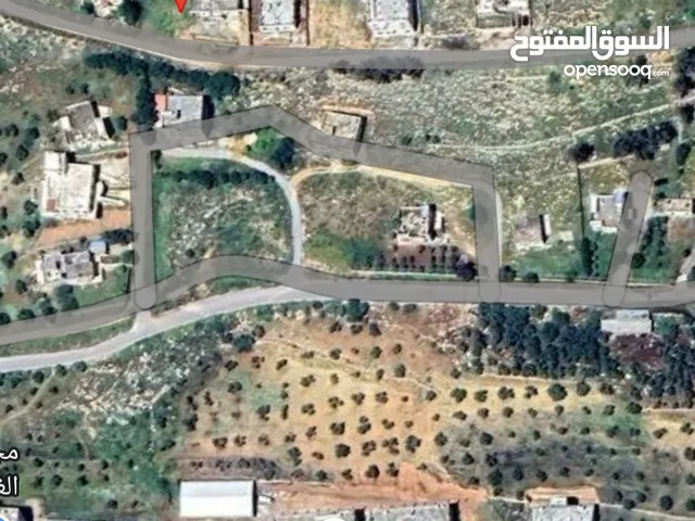 Residential Land for Sale in Amman Shafa Badran