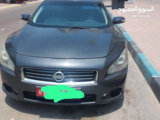 NISSAN MAXIMA 2012 (AED-16500)(12 MONTH REGISTRATION )(DARK GRAY COLOR)