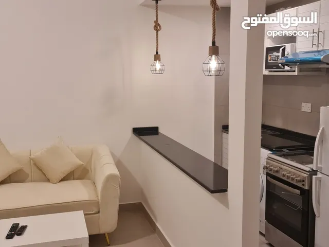16m2 Studio Apartments for Rent in Al Ain Al Jimi