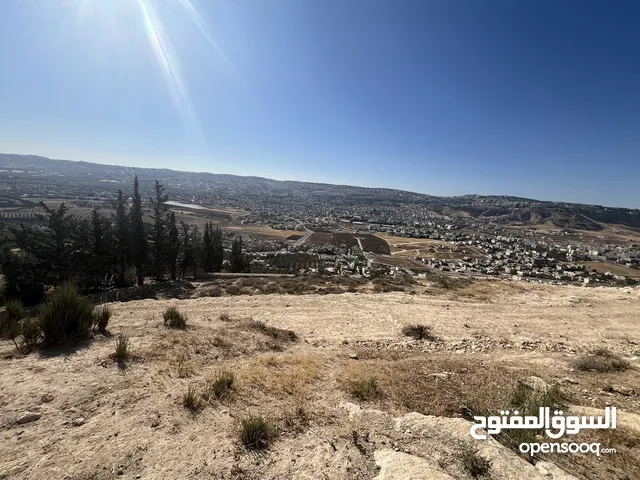Farm Land for Sale in Salt Ein Al-Basha
