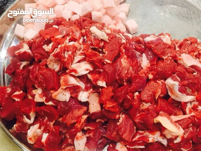 لحم جمل بوش