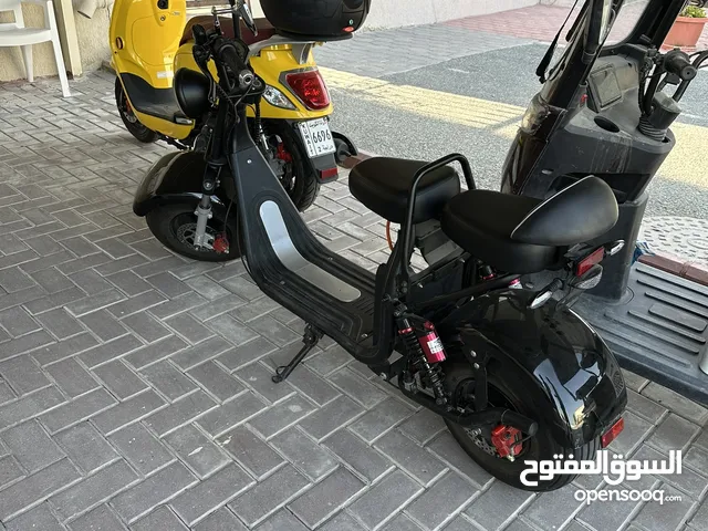 Electric bike