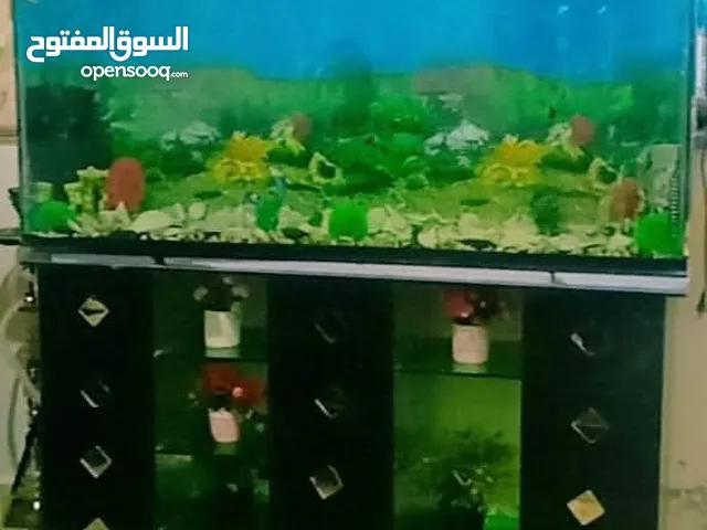 حوض سمك ارتفاع 60 عرض 136 للبيع 120دينار وقابل للتفاوض بشيء بسيط.