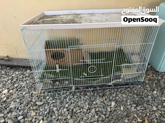 قفاص للبيع