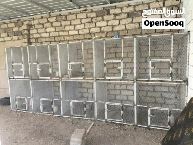 الله يبارك عرض للمربي عدد 10 بارتيات حاجة مقعمة وحديد كله جديد ربي يبارك