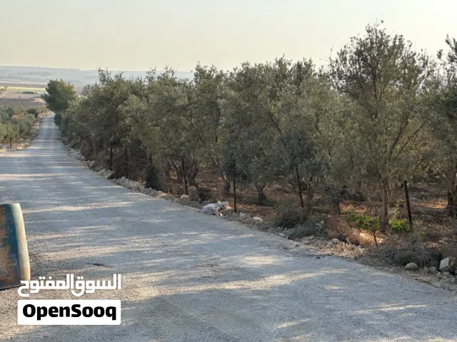 Farm Land for Sale in Amman Other