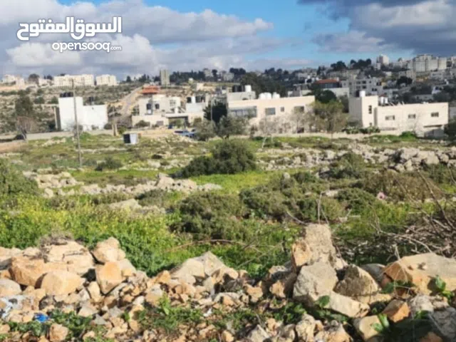 يوجد دونم. ارض للبيع في كفر نعمه  واصل كل الخدمات  صالحه للبيناء