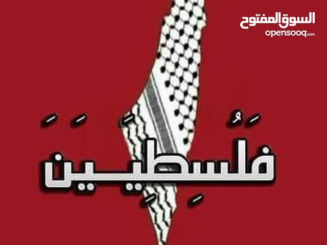 مطلوب شقة لعائلة صغيرة ولا يوجد اطفال