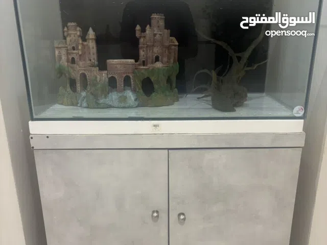 حوض سمك بجميع مستلزماتها