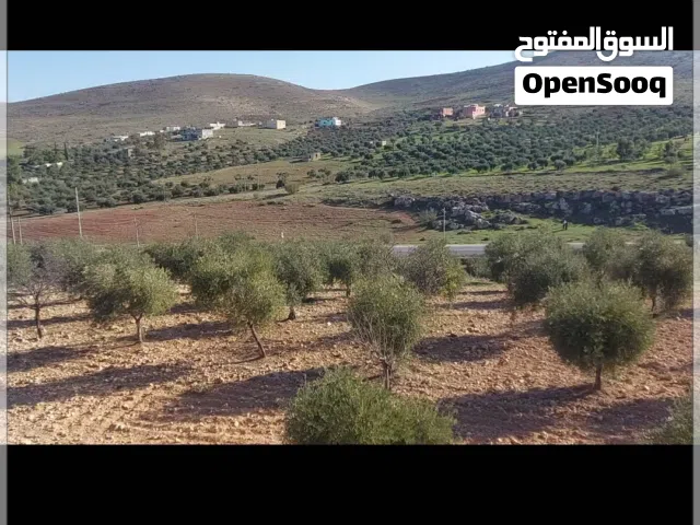 ارض للبيع من المالك مباشرة على شارع بيرين الرئيسي