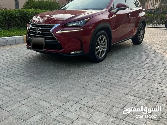 New Lexus NX in Abu Dhabi