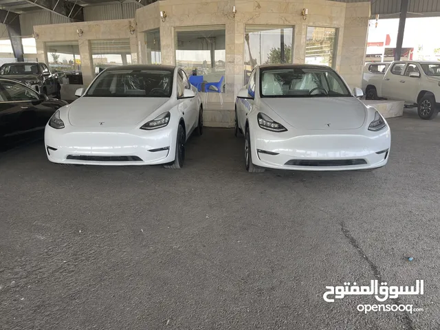 Tesla Y 2021 / 2020 Long Range Dual Motor